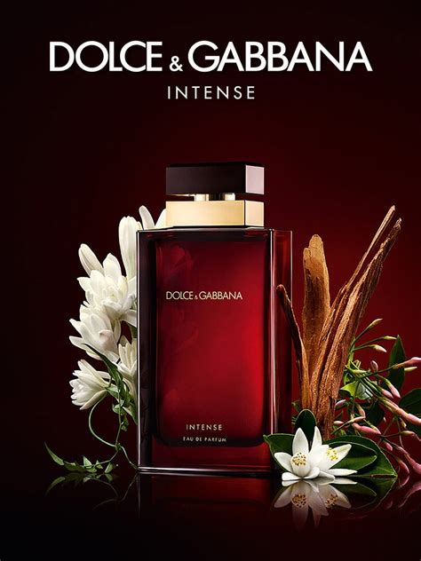 dolce gabbana pour femme site fragrantica.com|dolce and gabbana intenso.